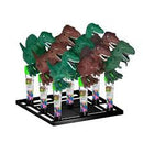 Dinossauro pula pula C-9un