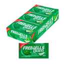 Chiclete Gum Menta - 15un